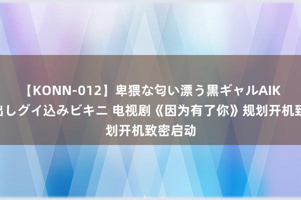 【KONN-012】卑猥な匂い漂う黒ギャルAIKAの中出しグイ込みビキニ 电视剧《因为有了你》规划开机致密启动