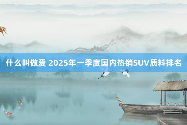 什么叫做爱 2025年一季度国内热销SUV质料排名