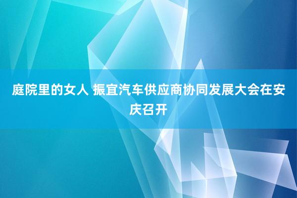 庭院里的女人 振宜汽车供应商协同发展大会在安庆召开