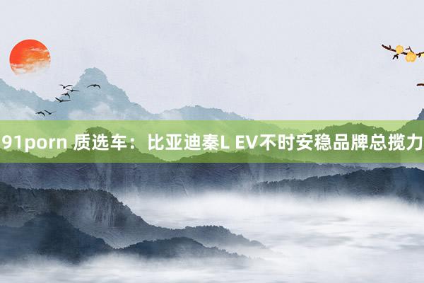 91porn 质选车：比亚迪秦L EV不时安稳品牌总揽力