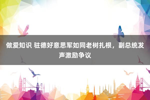 做爱知识 驻德好意思军如同老树扎根，副总统发声激励争议