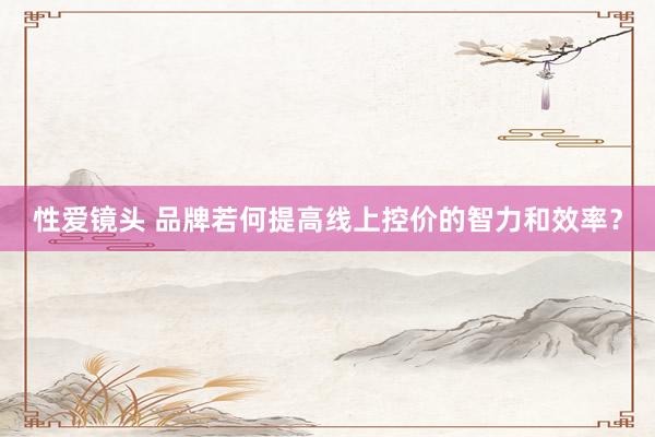 性爱镜头 品牌若何提高线上控价的智力和效率？