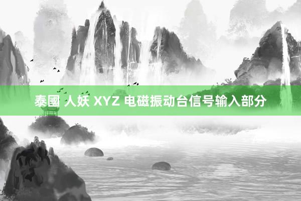 泰國 人妖 XYZ 电磁振动台信号输入部分